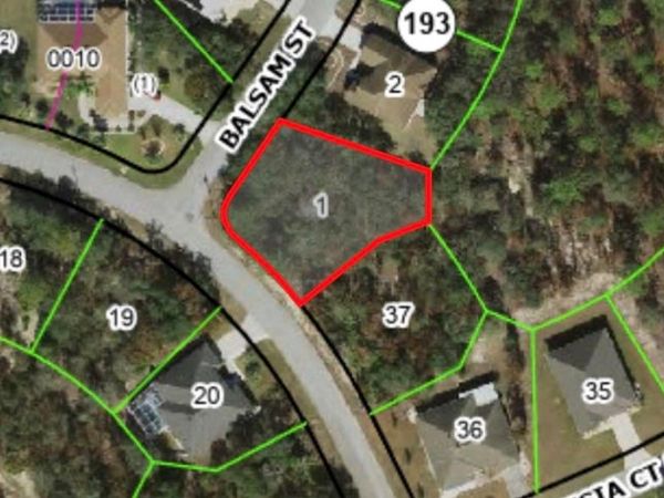 41 BALSAM STREET , HOMOSASSA, FL 34446