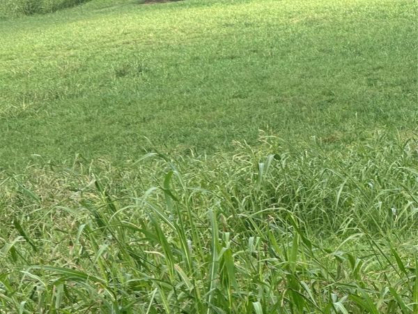 Lot 211 Canterbury Drive , North Wilkesboro, NC 28659