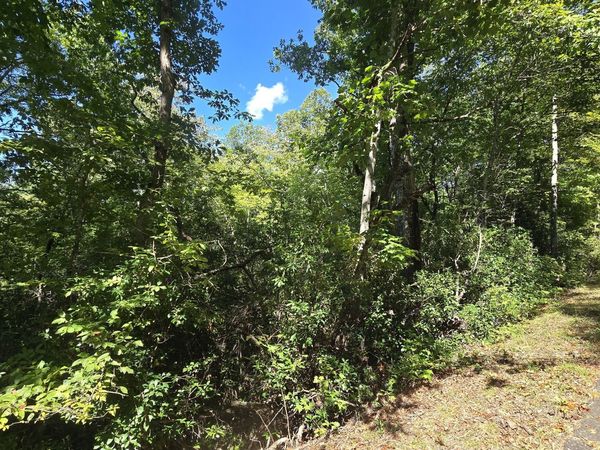 LOT 1B Victoria Woods, Hiawassee, GA 30546