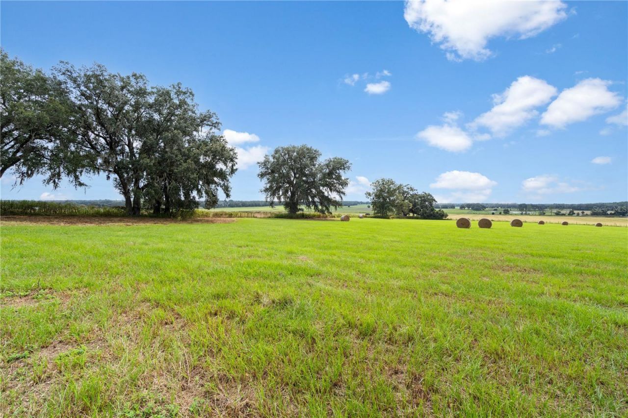 0000 SW Tustenuggee Avenue , Lake City, FL 32024 Photo