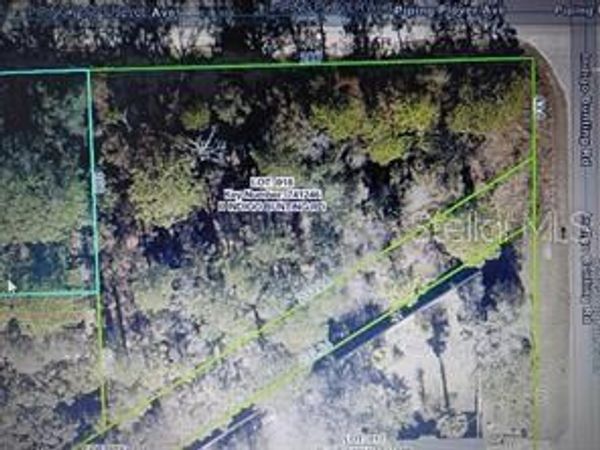12449 INDIGO BUNTING ROAD , WEEKI WACHEE, FL 34614