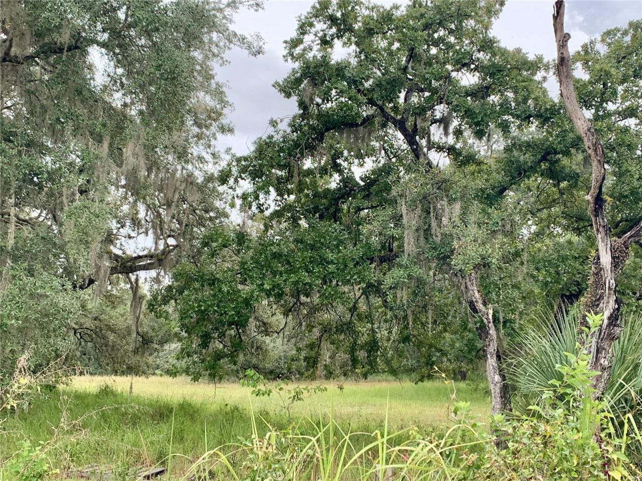 10425 E Moccasin Slough Road, Inverness, FL 34450 Photo
