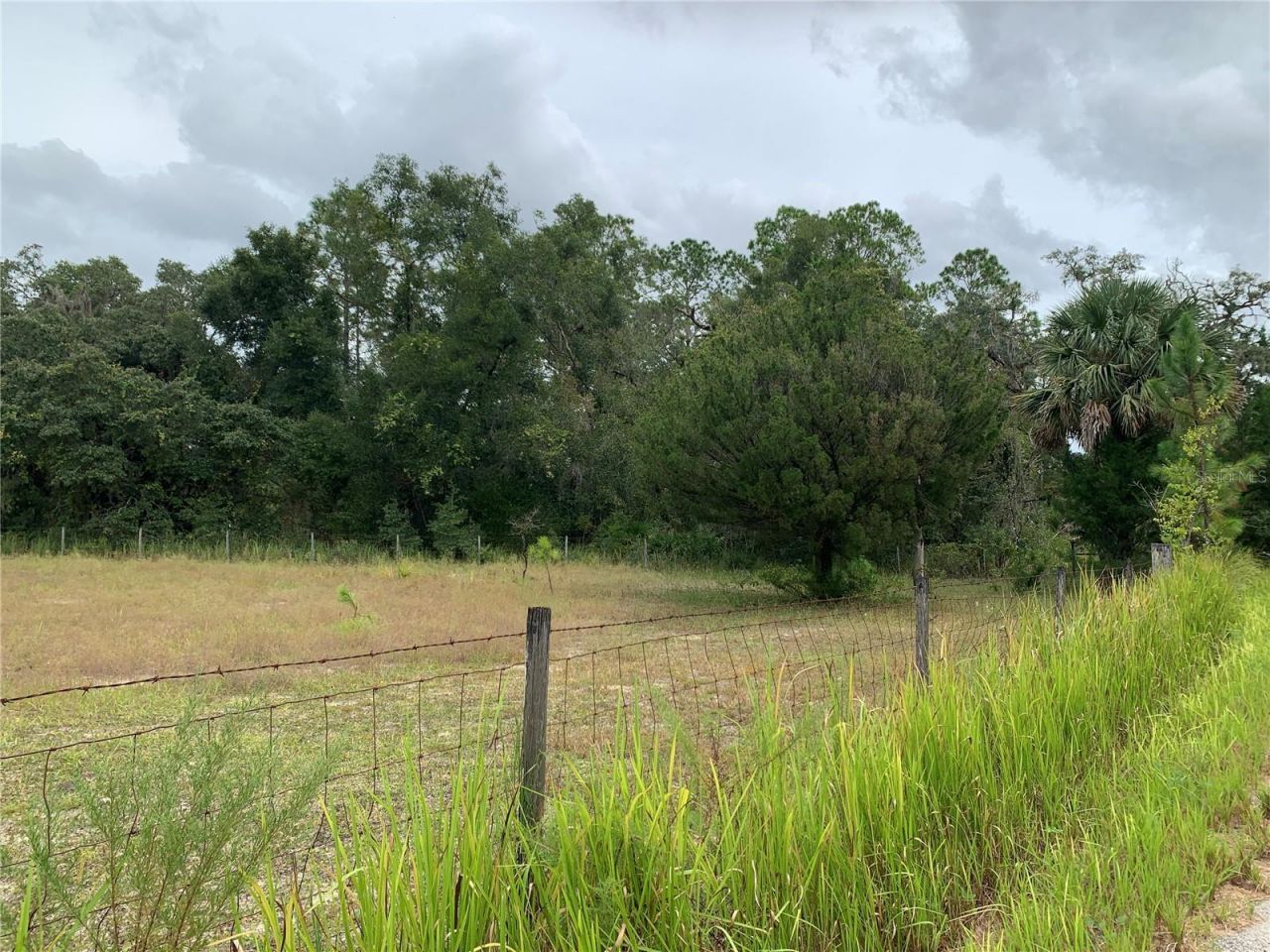 10425 E Moccasin Slough Road, Inverness, FL 34450 Photo