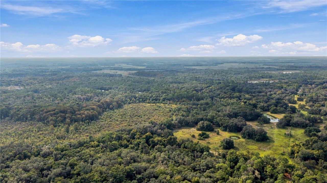 10425 E Moccasin Slough Road, Inverness, FL 34450 Photo