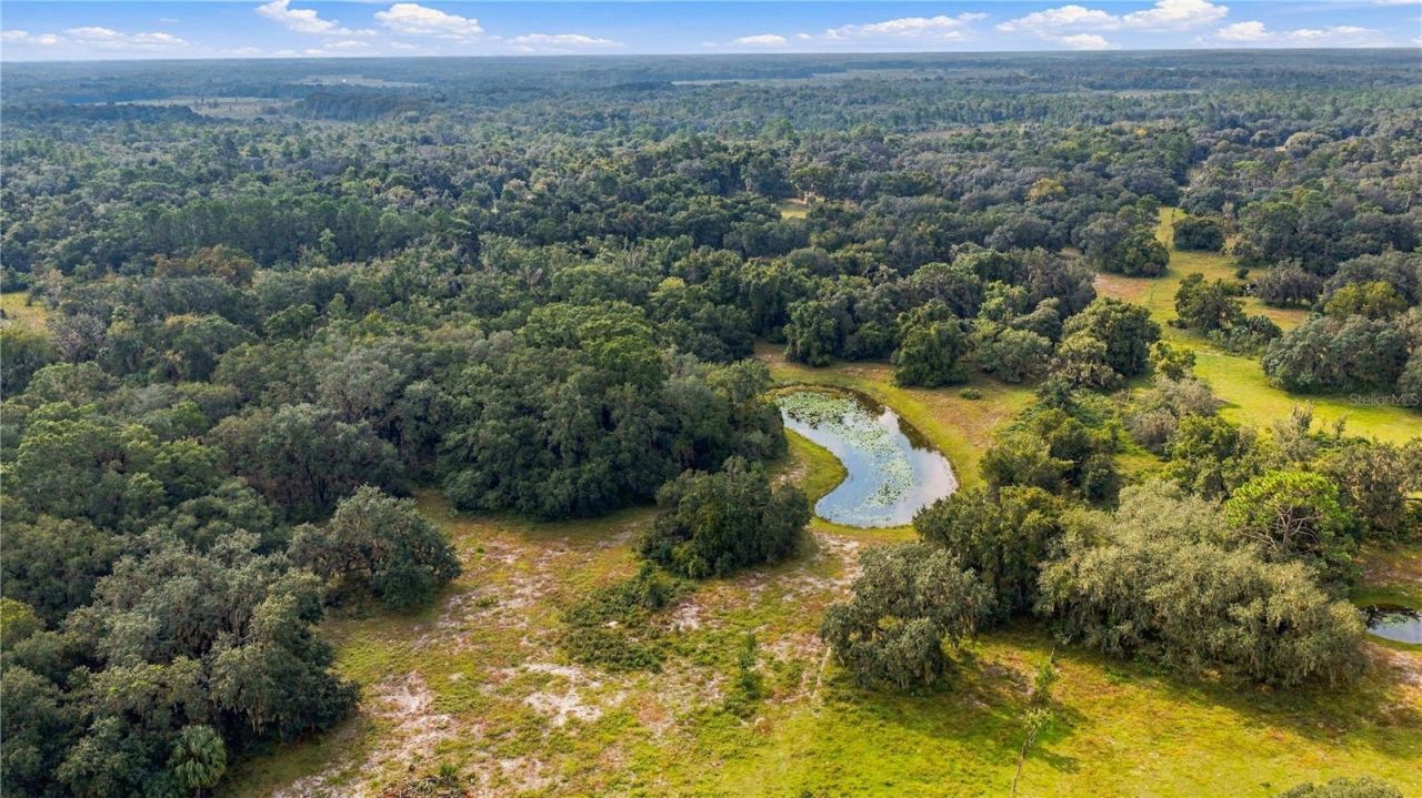10425 E Moccasin Slough Road, Inverness, FL 34450 Photo