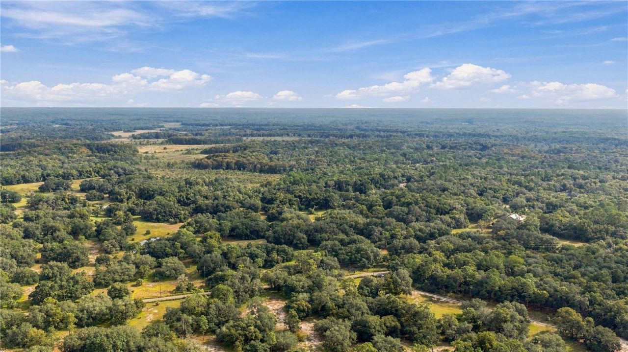 10425 E Moccasin Slough Road, Inverness, FL 34450 Photo
