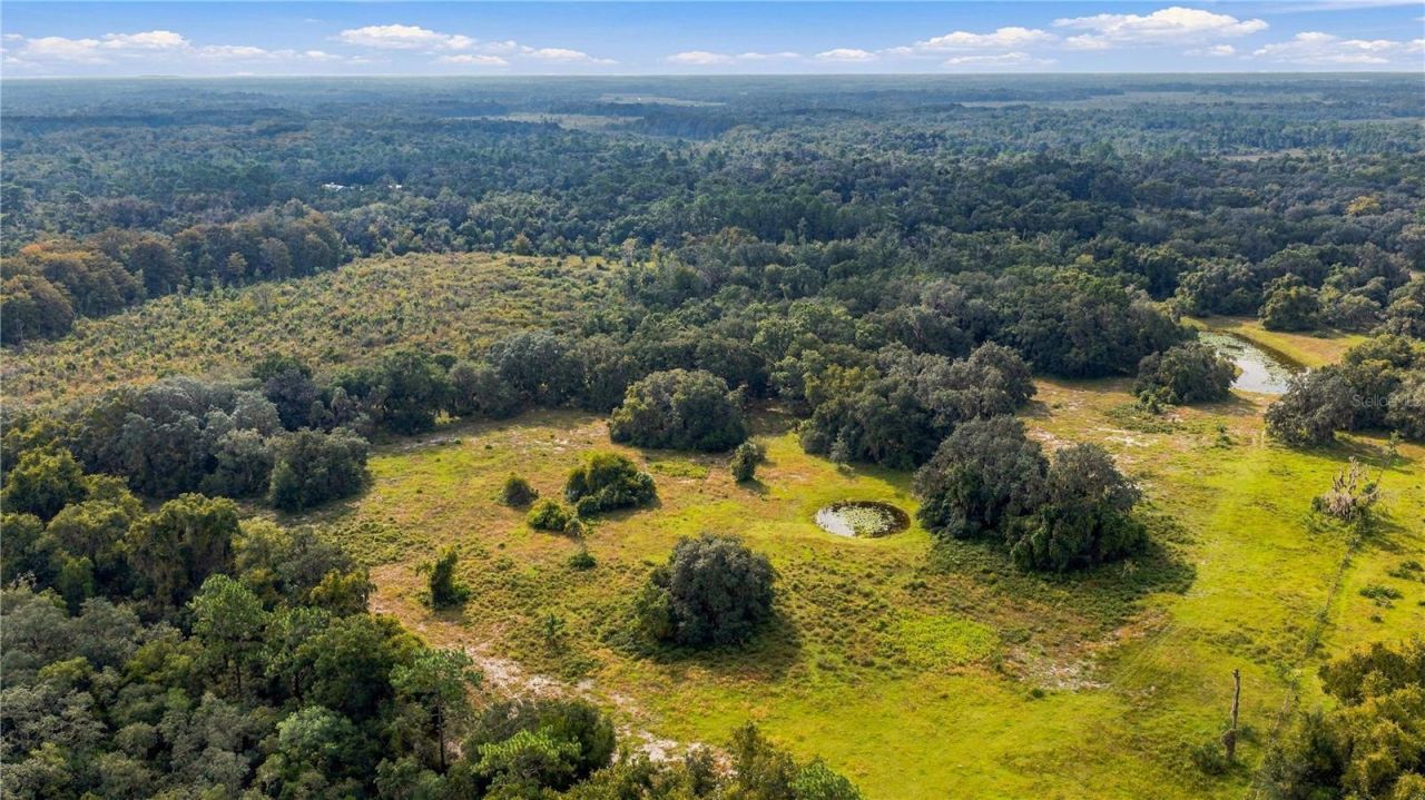10425 E Moccasin Slough Road, Inverness, FL 34450 Photo