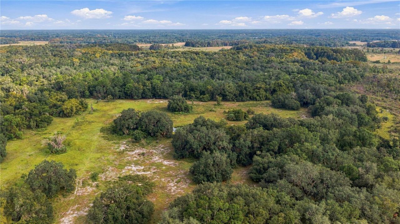10425 E Moccasin Slough Road, Inverness, FL 34450 Photo