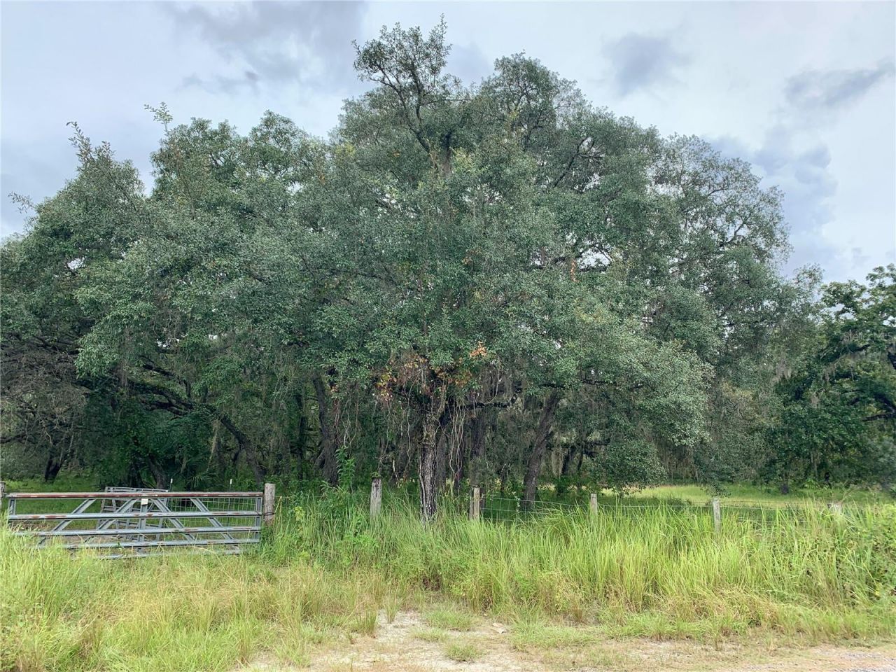 10425 E Moccasin Slough Road, Inverness, FL 34450 Photo