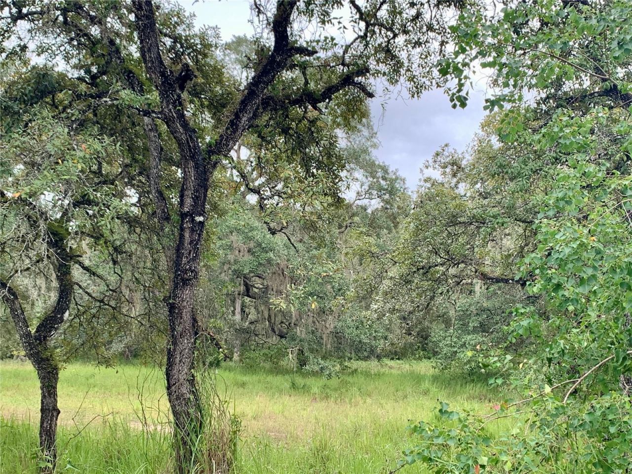 10425 E Moccasin Slough Road, Inverness, FL 34450 Photo