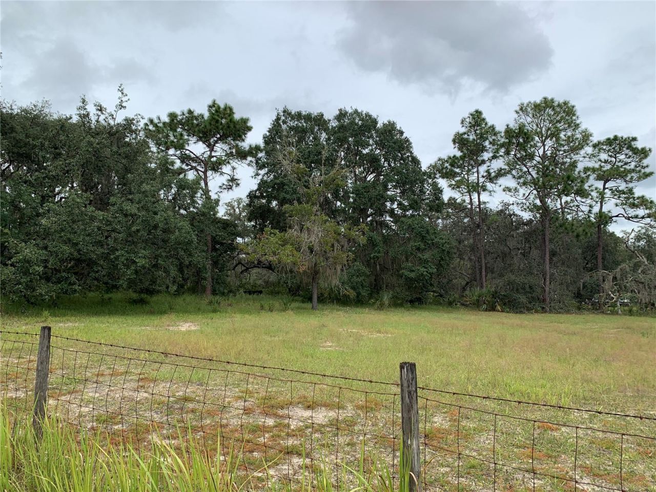10425 E Moccasin Slough Road, Inverness, FL 34450 Photo