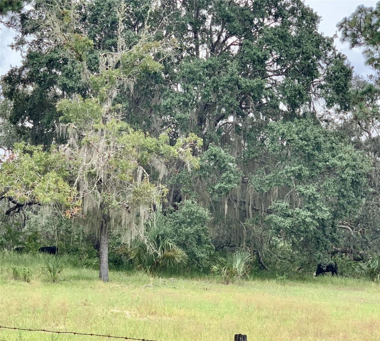 10425 E Moccasin Slough Road, Inverness, FL 34450 Photo