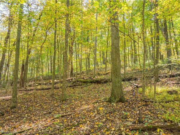 TR 228 , Glenmont, OH 44628