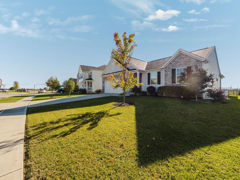 159 Chestnut Commons Drive, Commercial Point, OH 43116 Photo 3