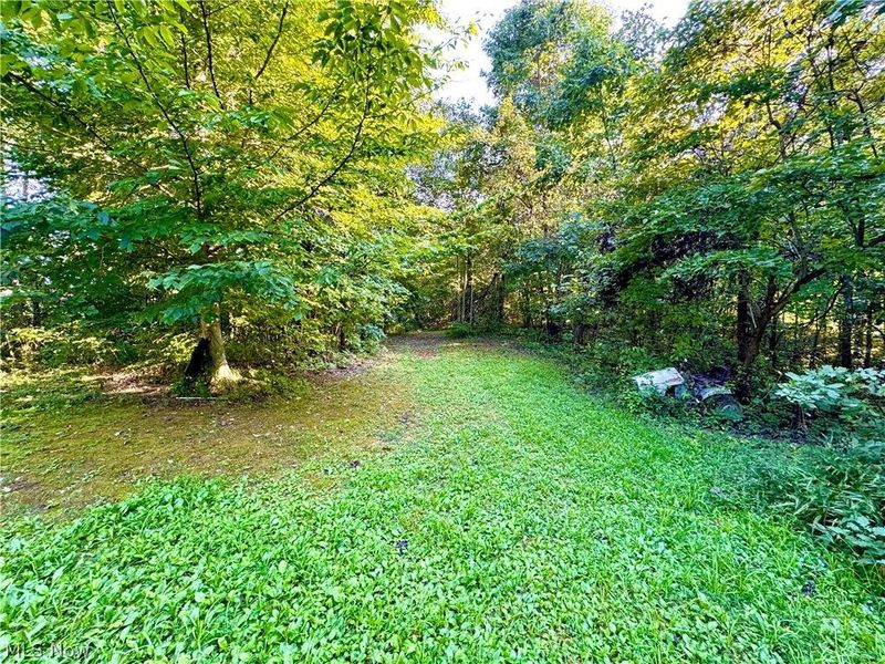 Virginia Ridge Road, Philo, OH 43771 Photo 15