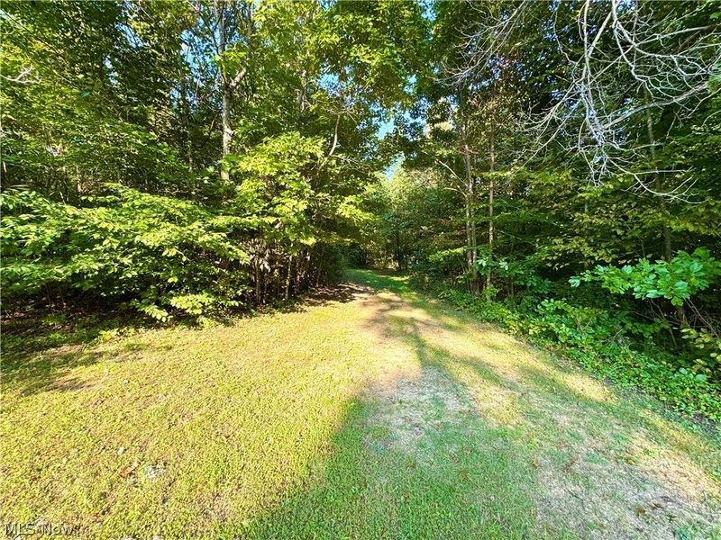 Virginia Ridge Road, Philo, OH 43771 Photo 16