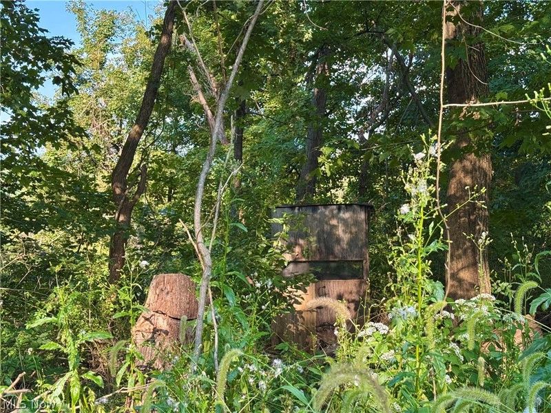Virginia Ridge Road, Philo, OH 43771 Photo 17