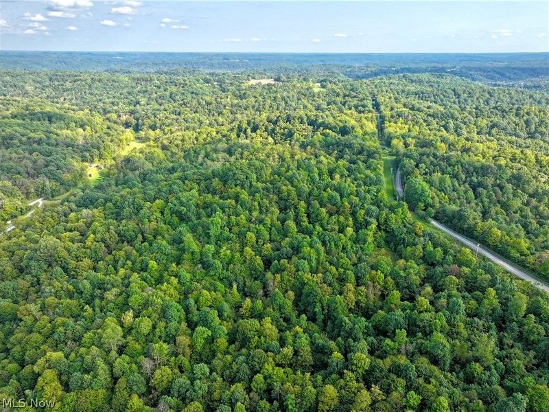 Virginia Ridge Road, Philo, OH 43771 Photo 18