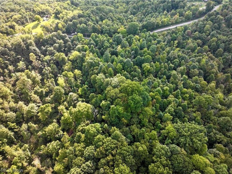 Virginia Ridge Road, Philo, OH 43771 Photo 24