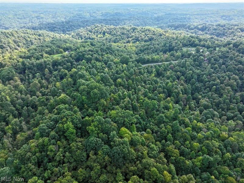 Virginia Ridge Road, Philo, OH 43771 Photo 25