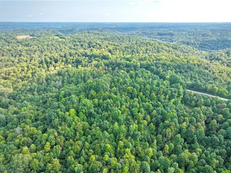 Virginia Ridge Road, Philo, OH 43771 Photo 26