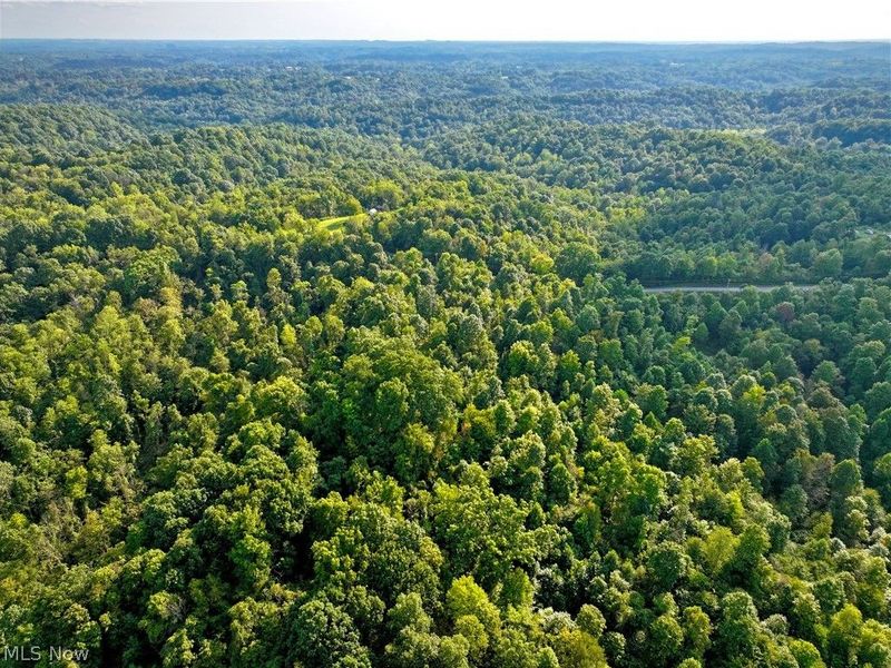 Virginia Ridge Road, Philo, OH 43771 Photo 27