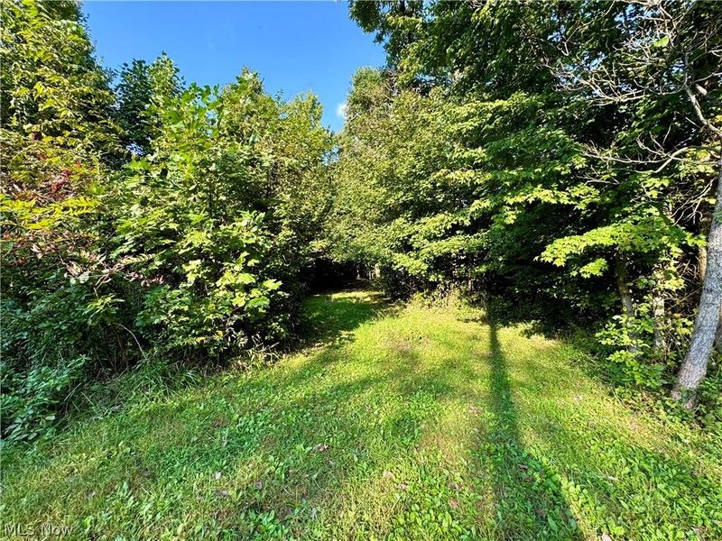 Virginia Ridge Road, Philo, OH 43771 Photo 31