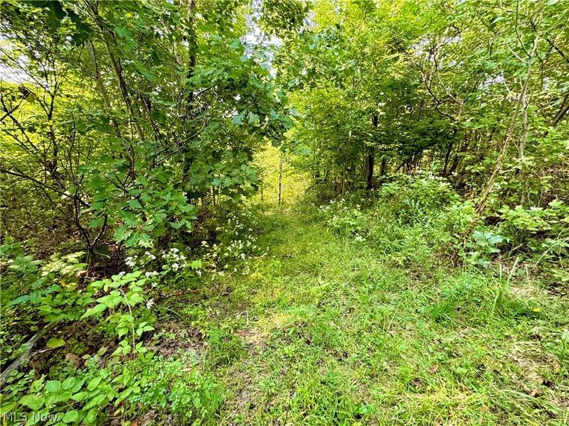 Virginia Ridge Road, Philo, OH 43771 Photo 33