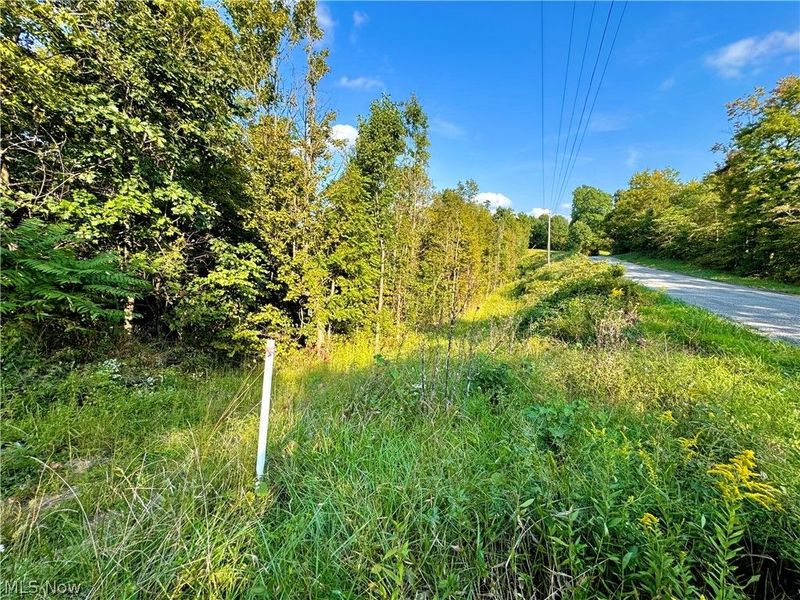 Virginia Ridge Road, Philo, OH 43771 Photo 38