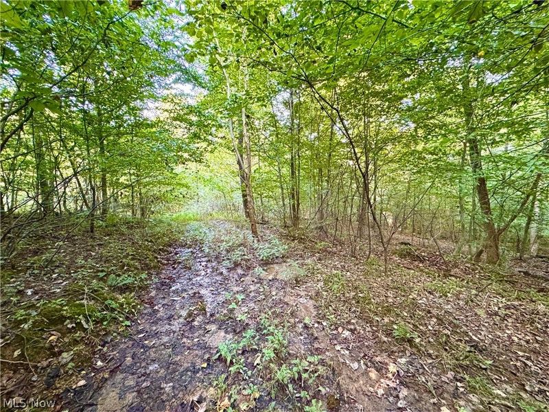 Virginia Ridge Road, Philo, OH 43771 Photo 39