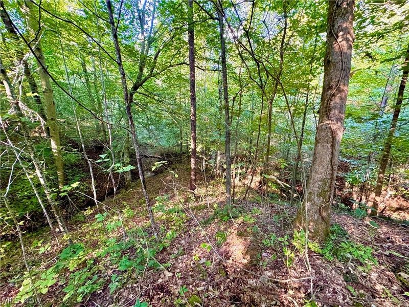 Virginia Ridge Road, Philo, OH 43771 Photo 40
