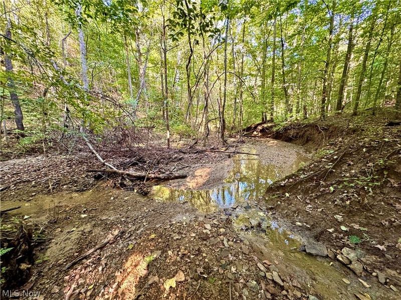 Virginia Ridge Road, Philo, OH 43771 Photo 41