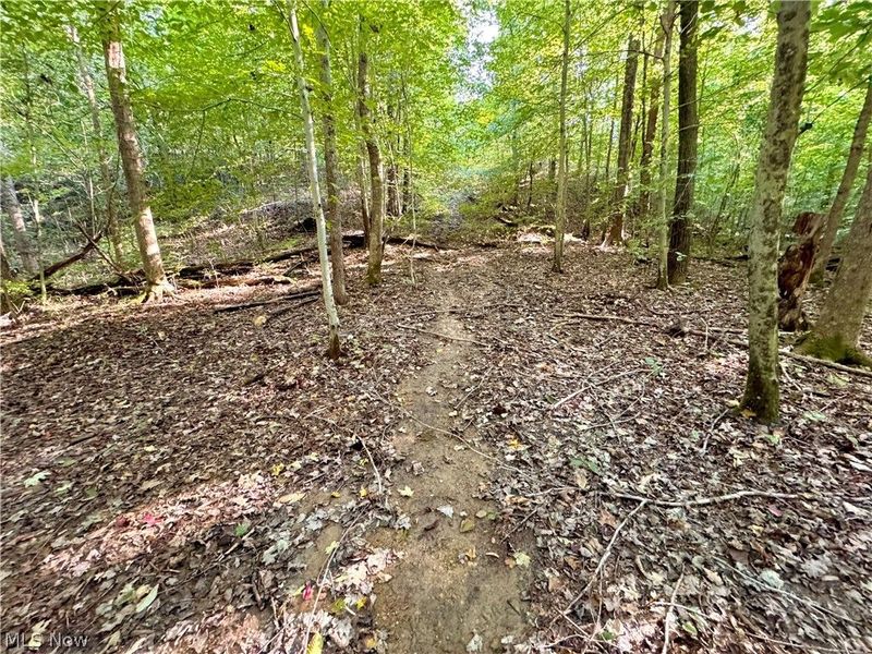 Virginia Ridge Road, Philo, OH 43771 Photo 42