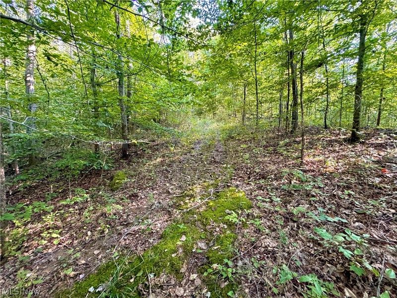 Virginia Ridge Road, Philo, OH 43771 Photo 43