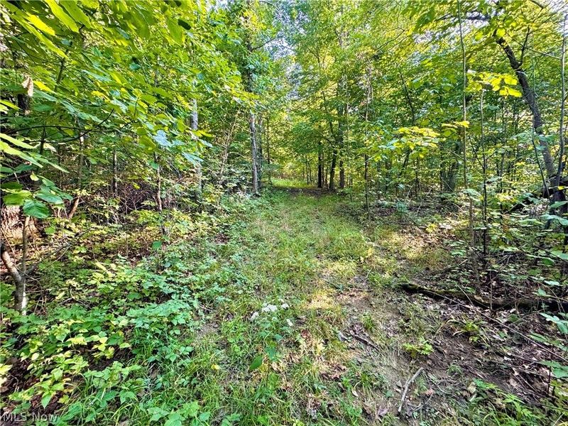 Virginia Ridge Road, Philo, OH 43771 Photo 44