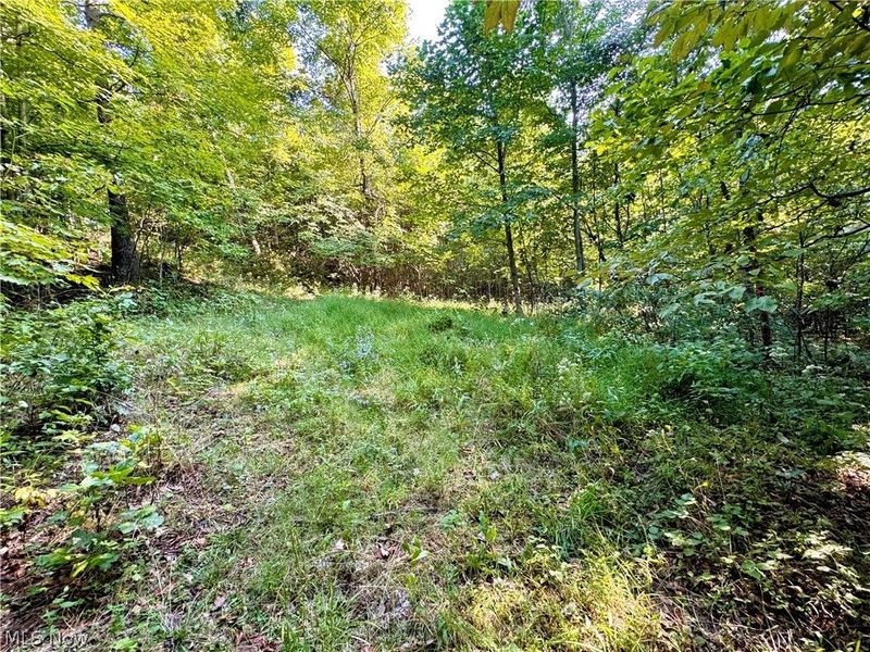 Virginia Ridge Road, Philo, OH 43771 Photo 46
