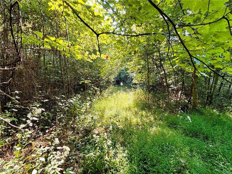Virginia Ridge Road, Philo, OH 43771 Photo 47