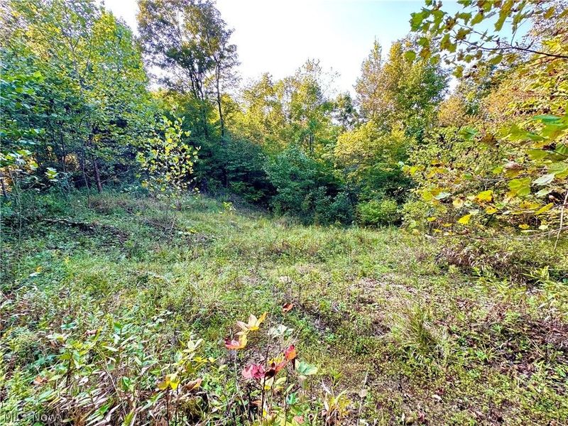 Virginia Ridge Road, Philo, OH 43771 Photo 48