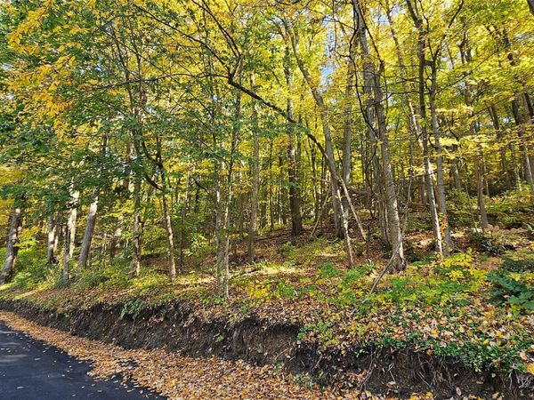 Saw Mill , Putnam Valley, NY 10579
