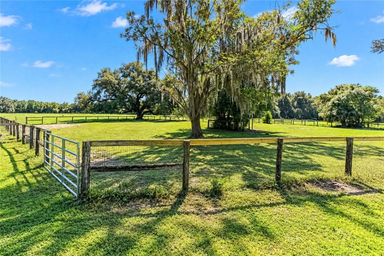 9551 NW County Road 345 , Chiefland, FL 32626 Photo
