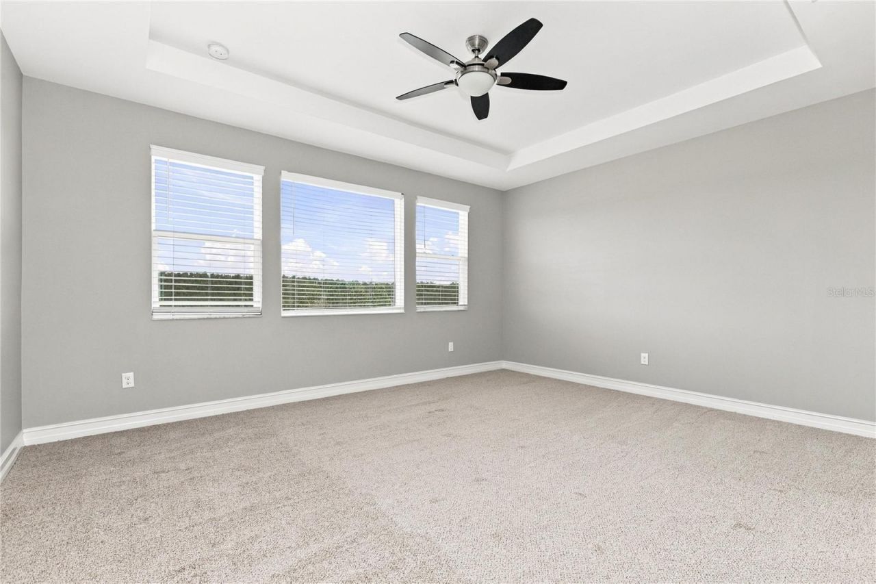 4694 Tramanto Lane , Wesley Chapel, FL 33543 Photo
