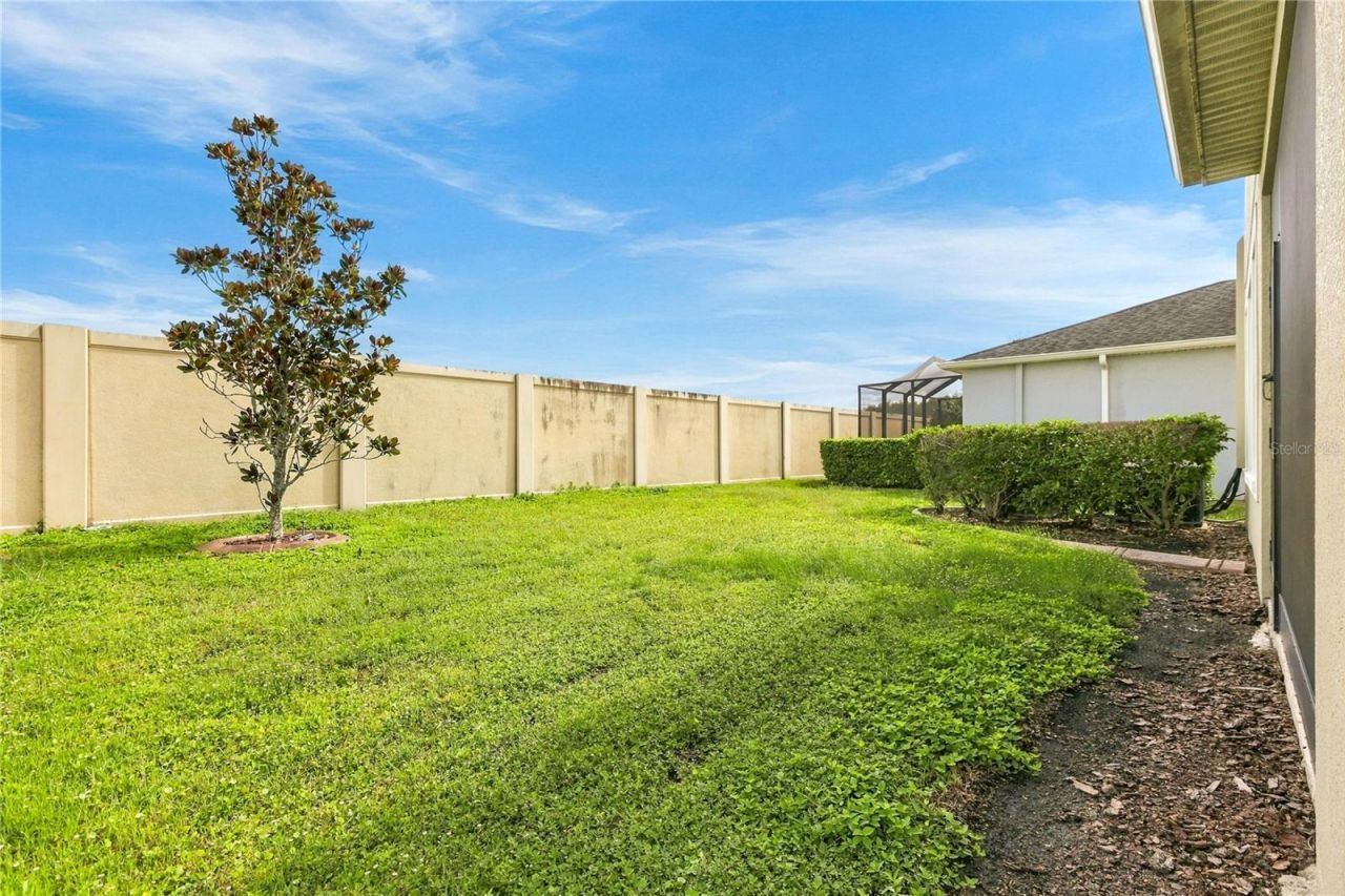 4694 Tramanto Lane , Wesley Chapel, FL 33543 Photo