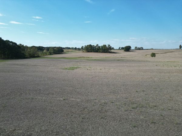 0 Longsought Rd, Wildersville, TN 38388