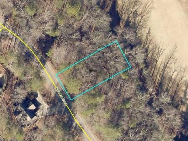 LOT 38 Bahn Erlenbruck, Helen, GA 30545