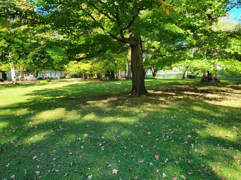 1417 E State Route 113, Milan, OH 44846 Photo 38