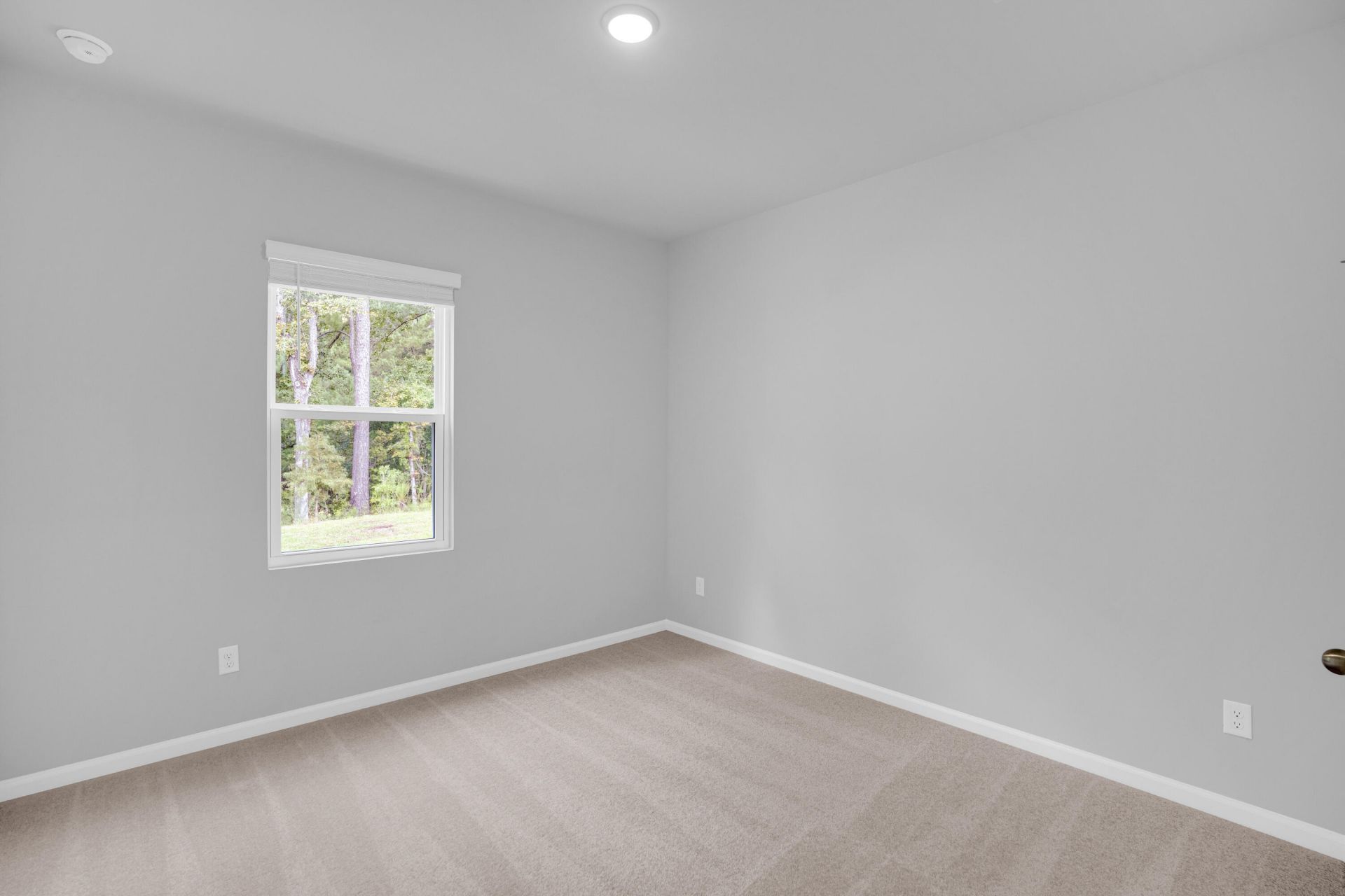 873 Meadowbrook Lane Photo 17