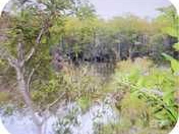 0 Juniper Road, Seminole, AL 36574