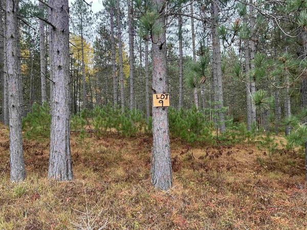 TROUT HAVEN ROAD, Dunbar, WI 54119
