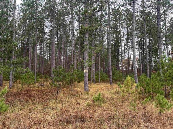 TROUT HAVEN ROAD, Dunbar, WI 54119