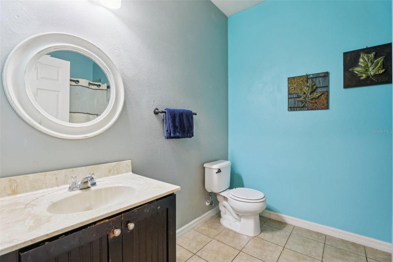 1689 Strathmore Circle , Mount Dora, FL 32757 Photo